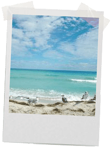 Travel Agents in Lubbock