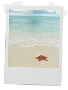 Lubbock TX Travel Agency